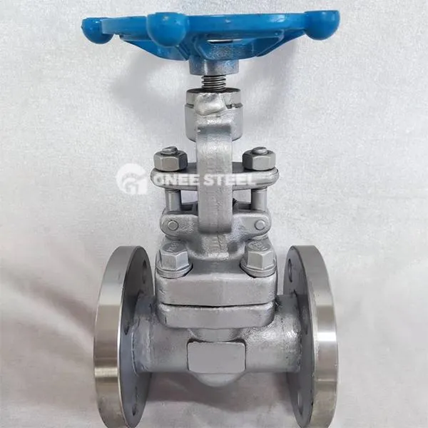 API 602 Globusventile