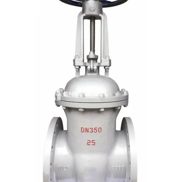 Kohlenstoffstahltorventil