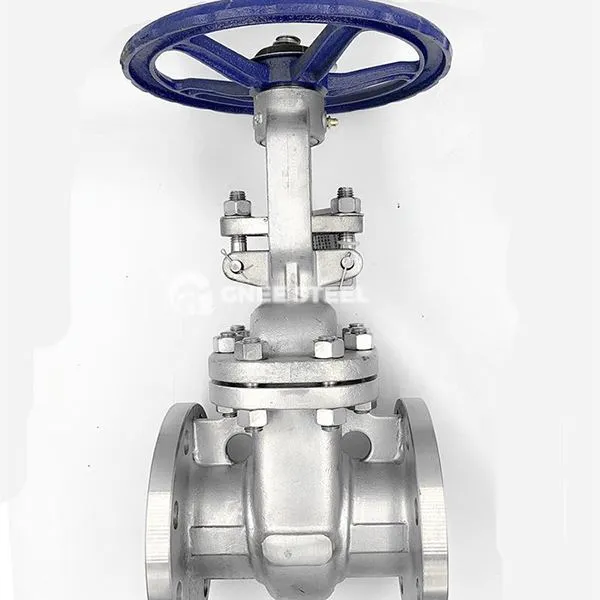 Stahlkeiletorventil gegossen