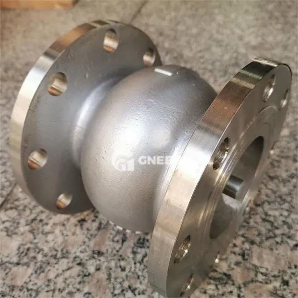 Korrosionsbeständiges Scheckventil