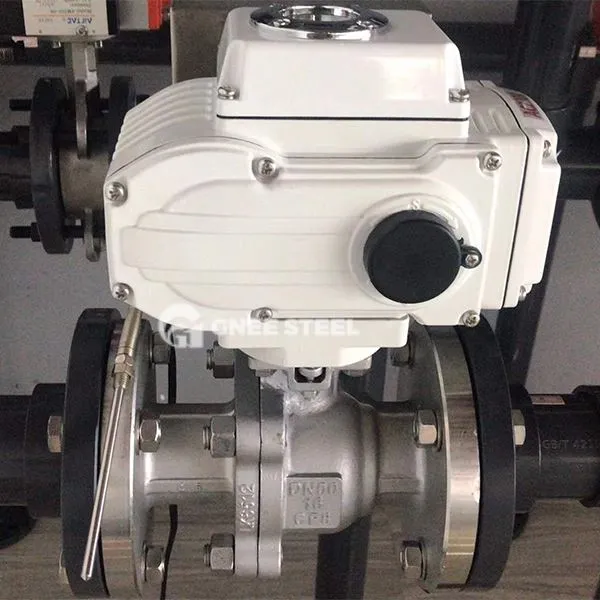 Elektrisches Scheckventil