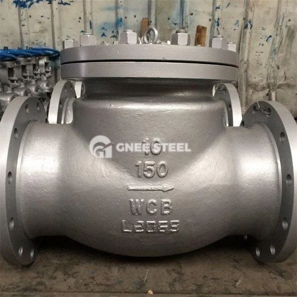 Gasleitungsprüfventil