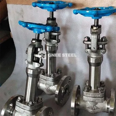 Stainless Steel Cryogenic Globe Valves Stainless Steel Cryogenic Globe Valves