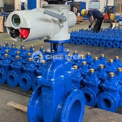 Was ist der Unterschied zwischen dem AWWA C515- und dem AWWA C500-Ventil?