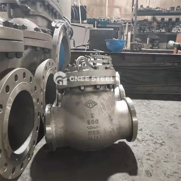 Tieftemperaturprüfventil