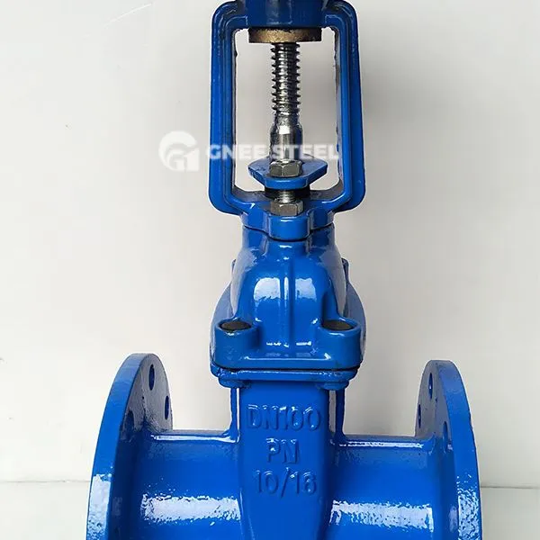 Widerstandsfähige Sitztorventile