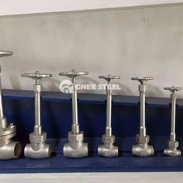 Kryogene Globusventile aus rostfreiem Stahl